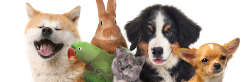 Moscow unleashes massive drone and missile attack...